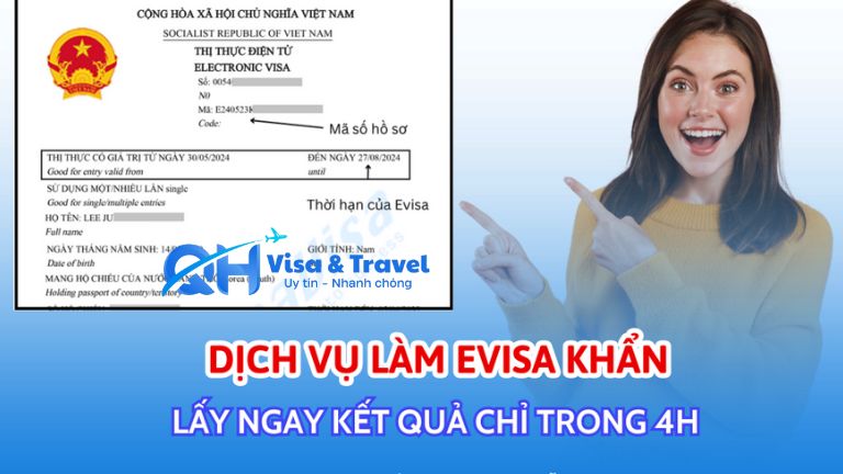 Dịch vụ tư vấn & hỗ trợ xin Evisa Việt Nam nhanh 2026